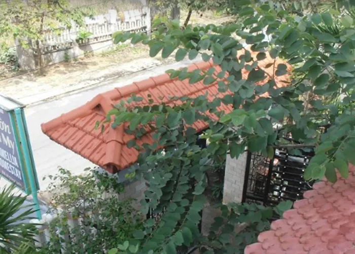 Camellia Homestay Hội An